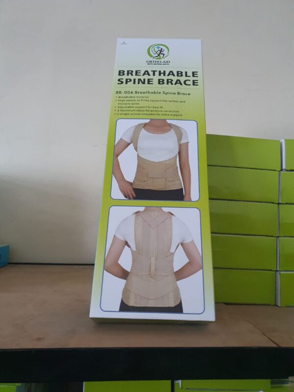 Spine Brace/Lumber Cosset